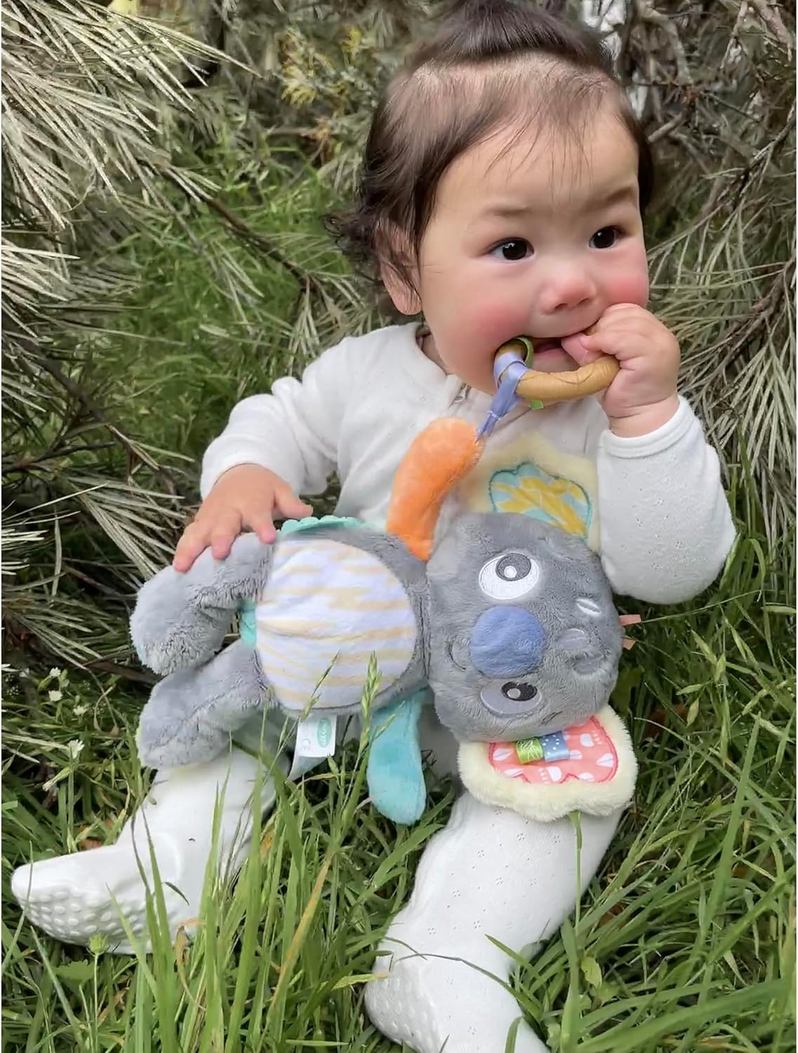 Playgro Fauna Friends Cuddly Koala, Large Plush Toy, Teether, Soft Plush Materials for Baby to Cuddle image number 3
