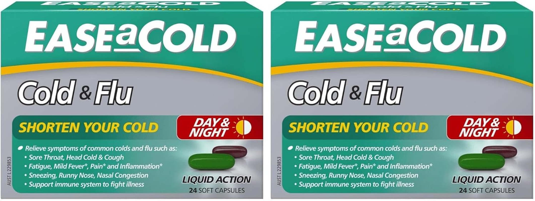 Ease a Cold Day-Night Cold and Flu 24 Capsules image number 1