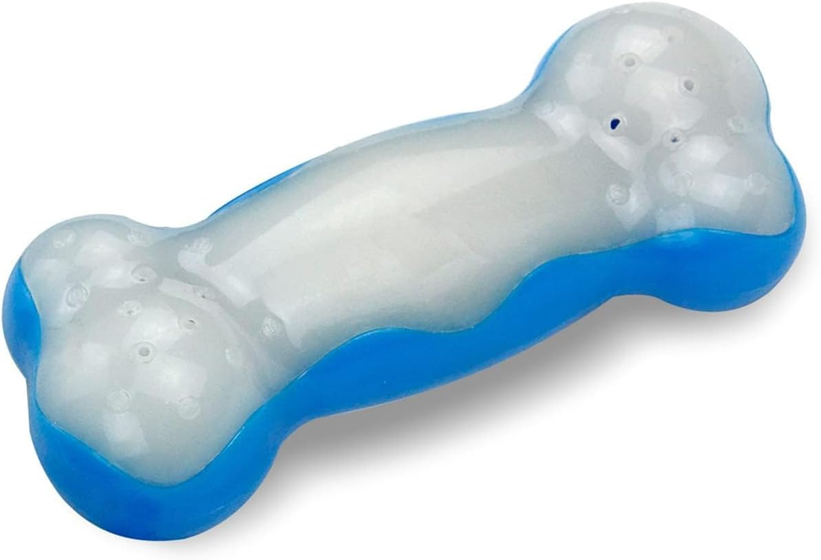 All for Paws Chill Out Ice Bone Dog Chew Toy image number 1