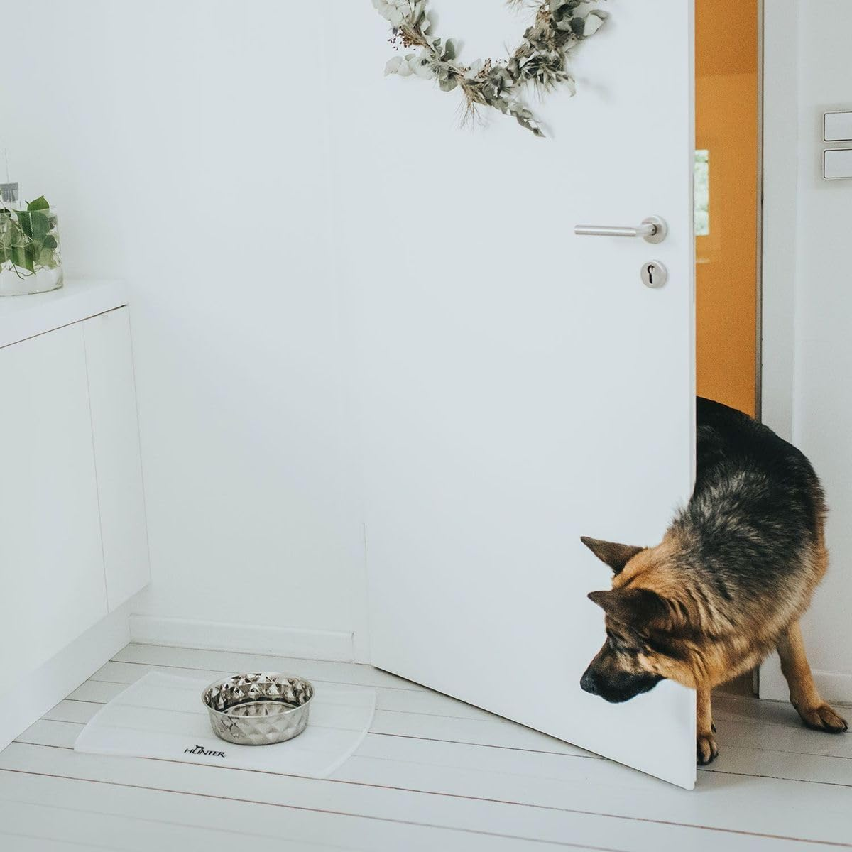 Hunter Silicone Stainless Steel Dog Bowl 1.75L image number 6