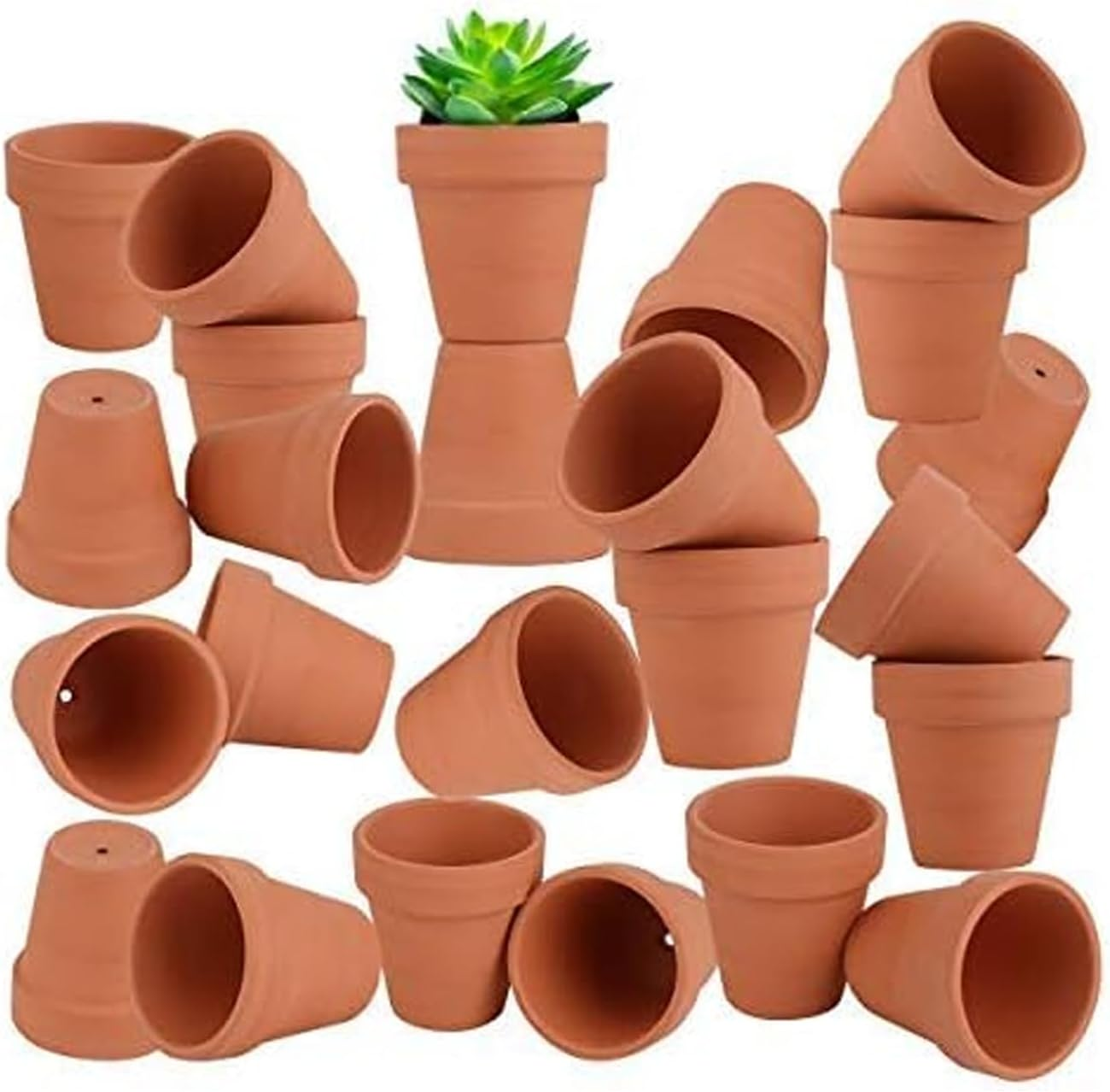 36 Pcs Mini Terracotta Pots, 1.2 Inch Clay Planters with Drainage Hole for Succulents, Small Nursery Containers for Home Garden Office Desk Decor, Crafts for Kids & Adults image number 1