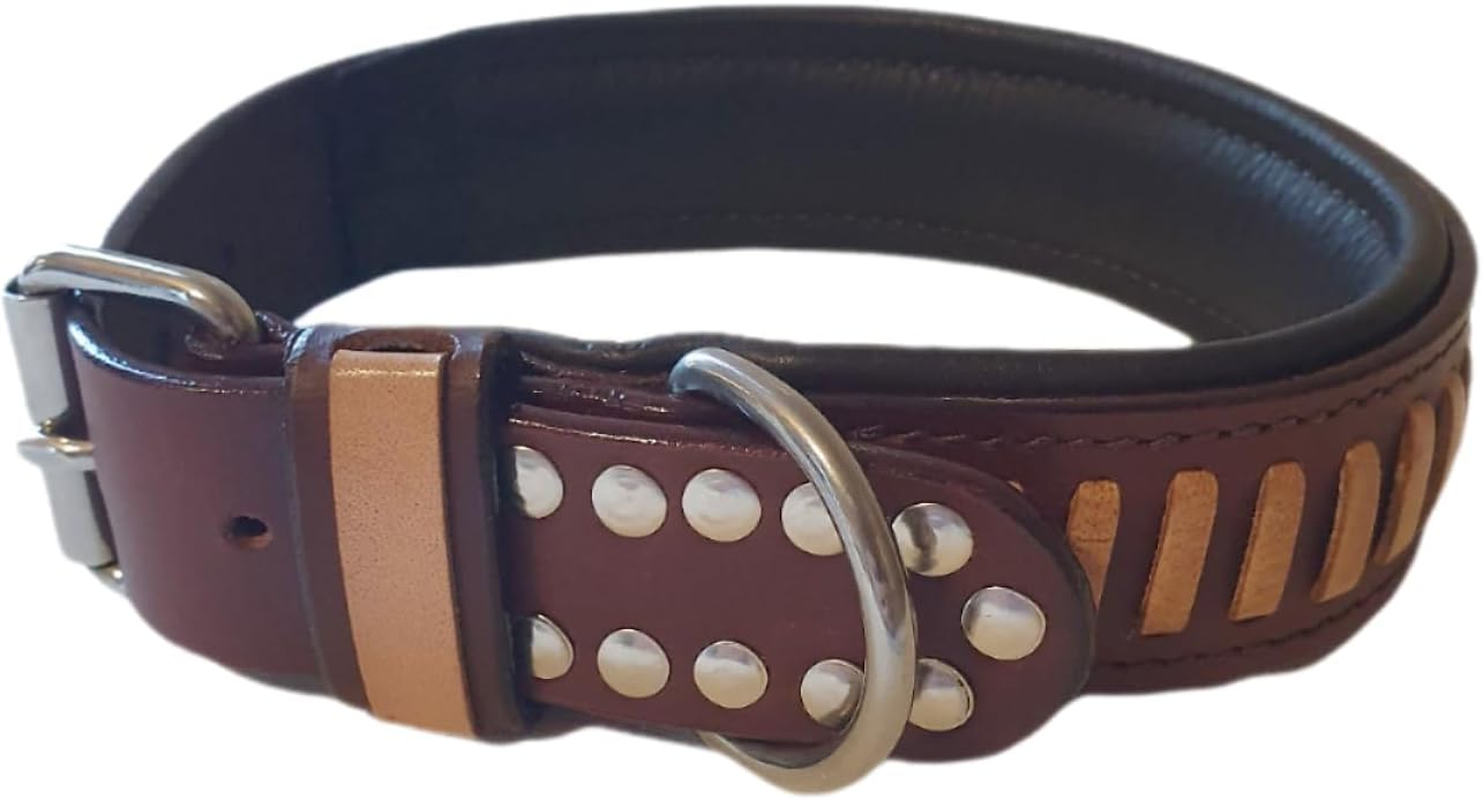 Dog Collar S 12-15 Inches