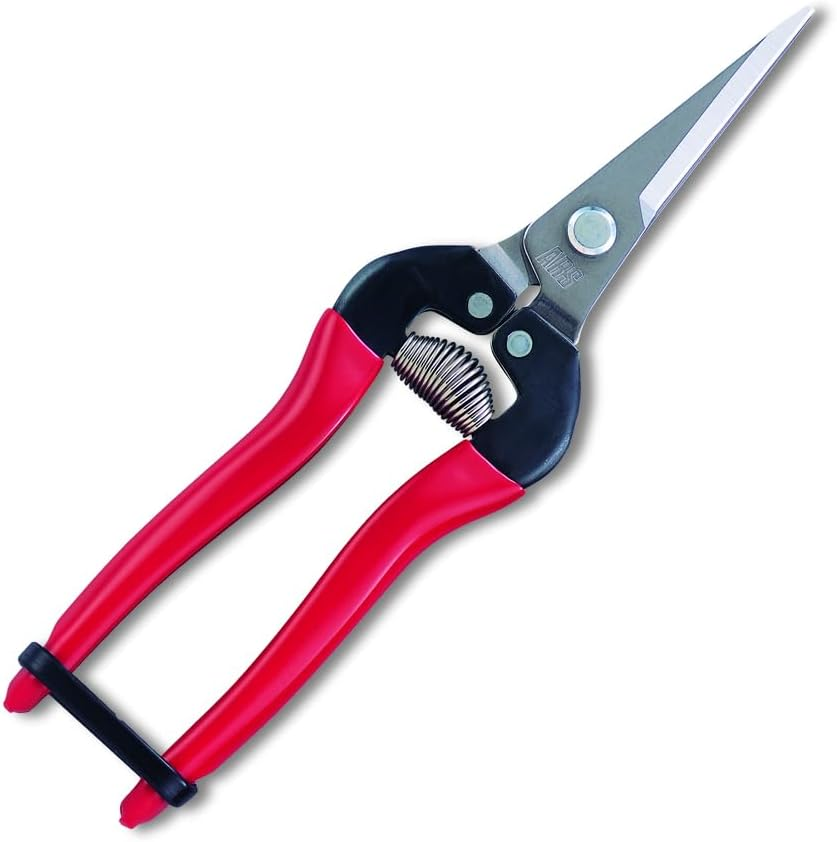 ARS HP-300LDX Stainless Steel Needle Nose Fruit Pruners
