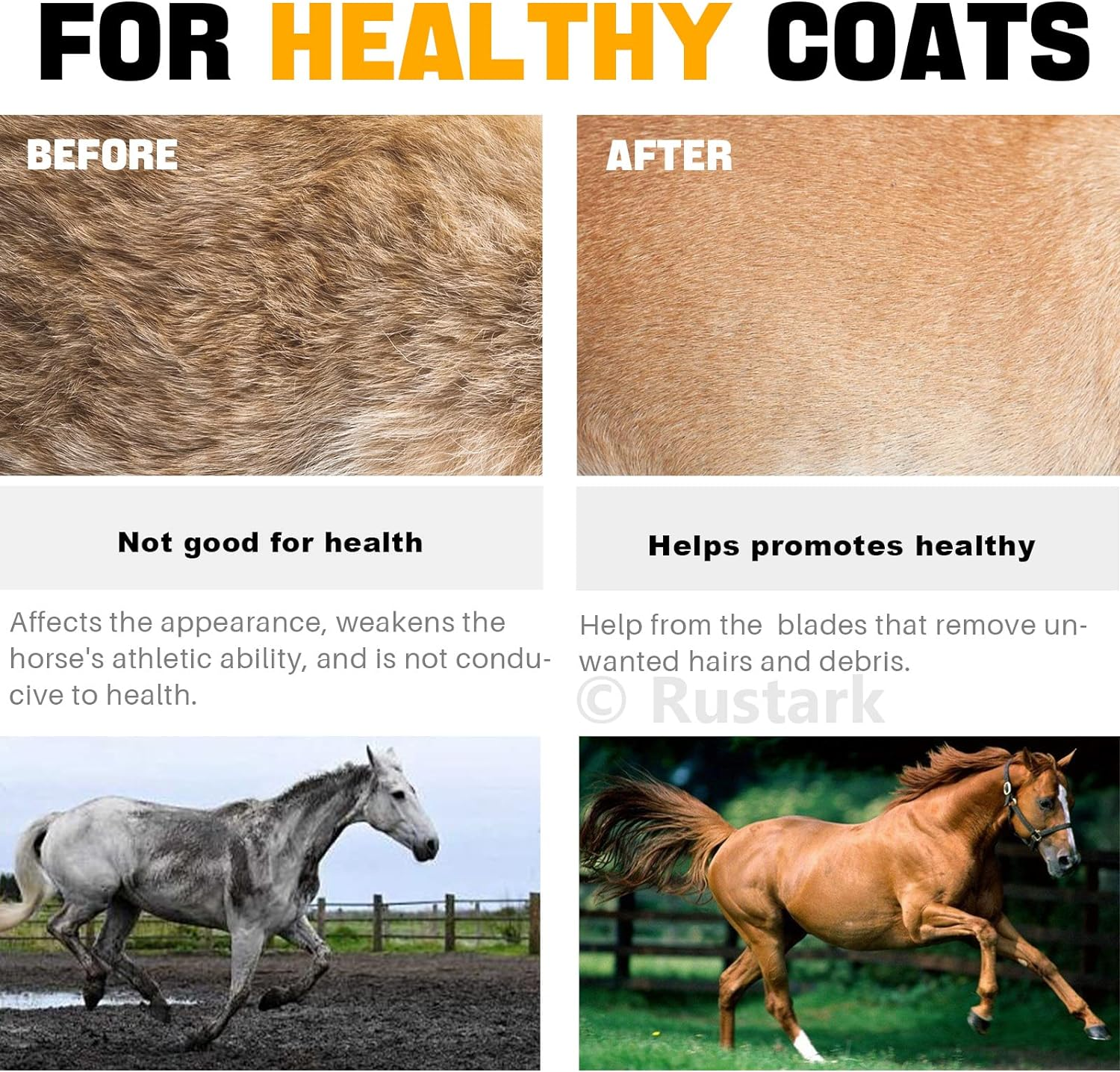 Rustark 3Pcs Reversible Stainless Steel Curry Grooming Set with 4 Rings: Large Rubber Comb, Scotch Type Comb, Metal Brush for Cows, Sheep, Dogs, Goats, Horses image number 2