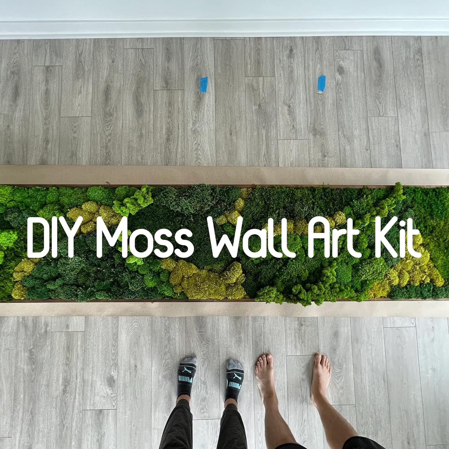 Prefleur Preserved Sheet Moss Natural Green Decorative Real Natural Green DIY Kit Gardenning Art Wall Decor Florist Decor Easter Table Decor Wedding 2 Sq.Ft.Green-B image number 2