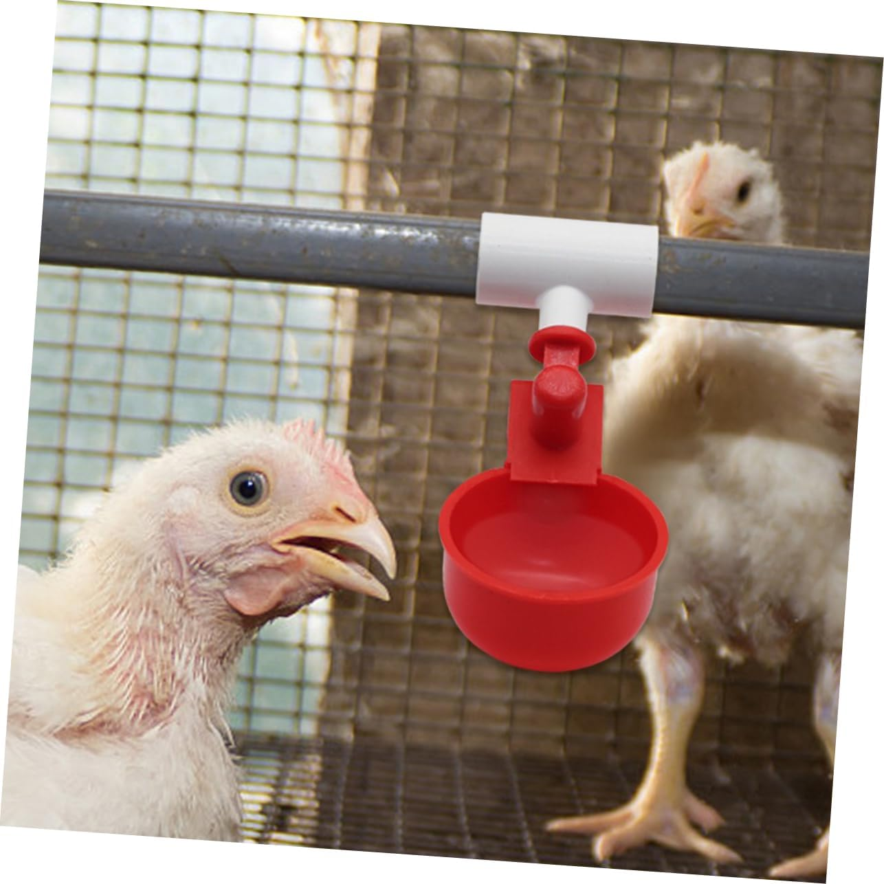 Milisten Automatic Chicken Waterer Tee Fittings 10Pcs Easy Install Poultry Watering System for Chickens Ducks Quails Rabbits 2.05 Inch Connector for Clean Farm Drinking