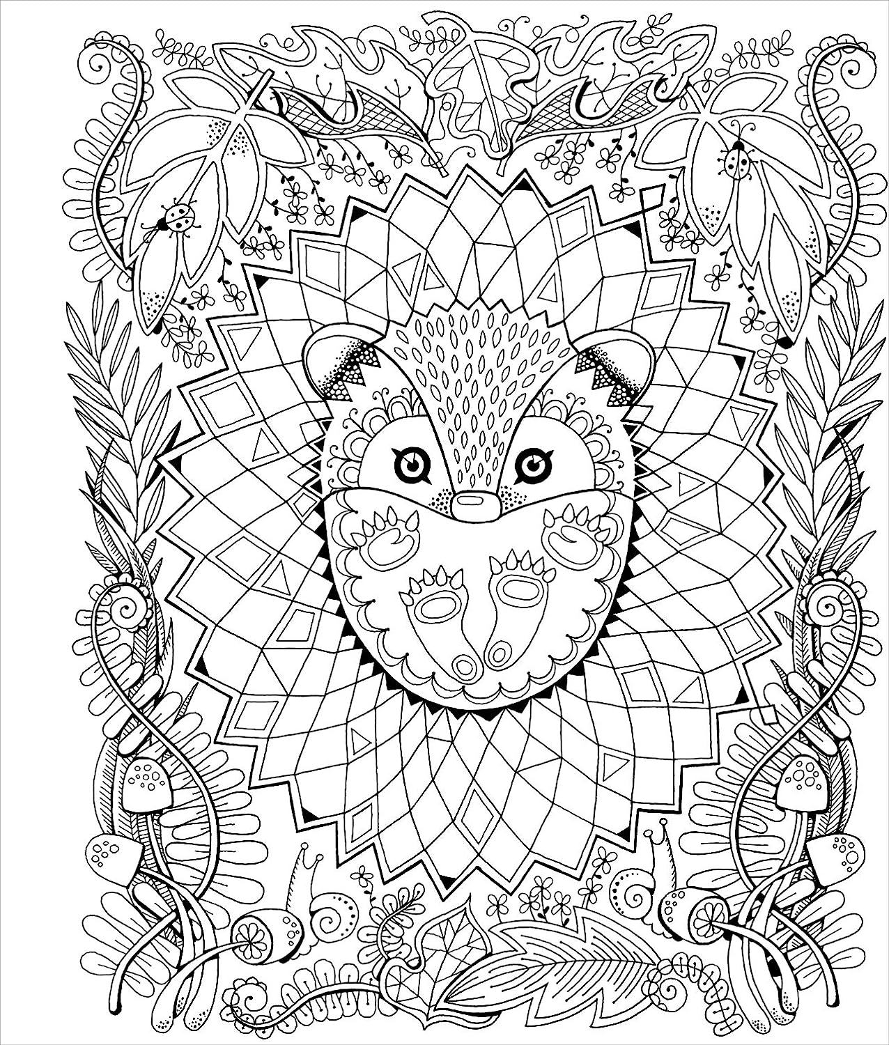 Color & Frame Adult Coloring Book - in the Forest image number 3