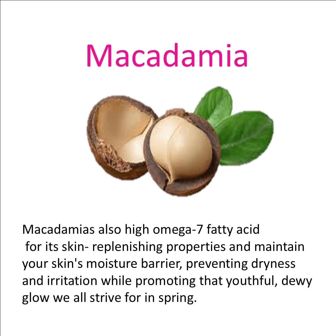 Lemon Myrtle Organic Lip Gloss 8Ml image number 4