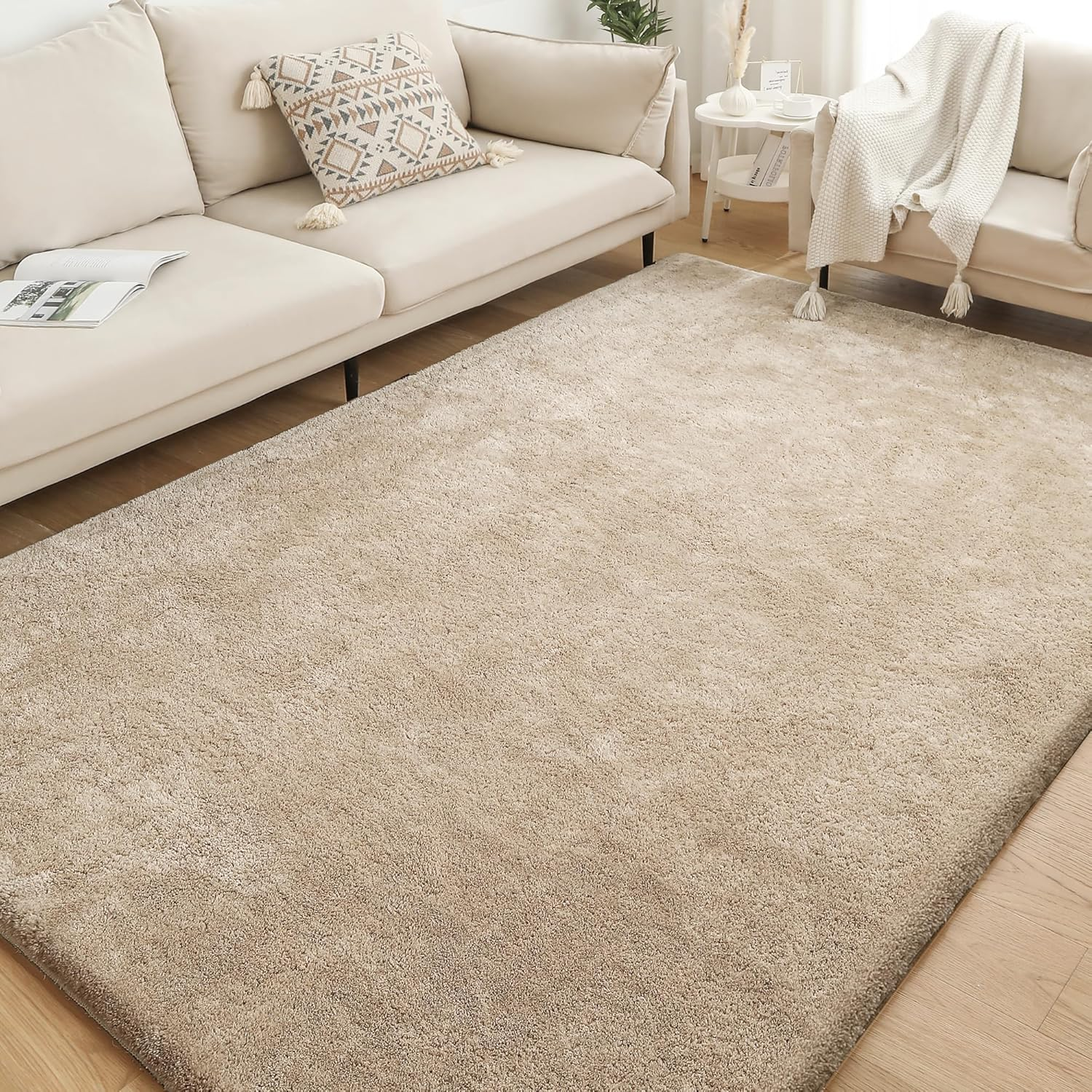 Soft Indoor Modern Shag Area Rug for Living Room Fluffy Rugs Anti-Skid Shaggy Rug Nursery/Dining Room/Home/Bedroom/Office Carpet Ultra Soft Floor Rug(Warm Sand, 61X91Cm)