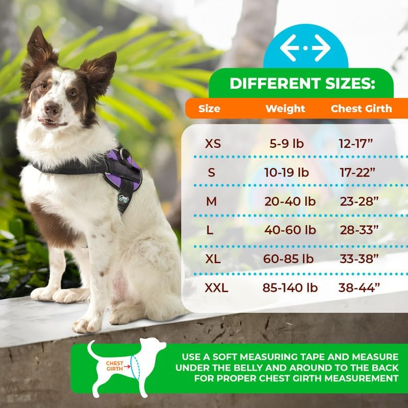 Joyride Harness 2.0 - the Original Side Ring No Pull Dog Harness - No Choke, Escape Proof, Reflective, 3 Leash Clips, Quick Fit Pet Vest - Easy Walks & Training - for Small, Medium & Large Dogs image number 1