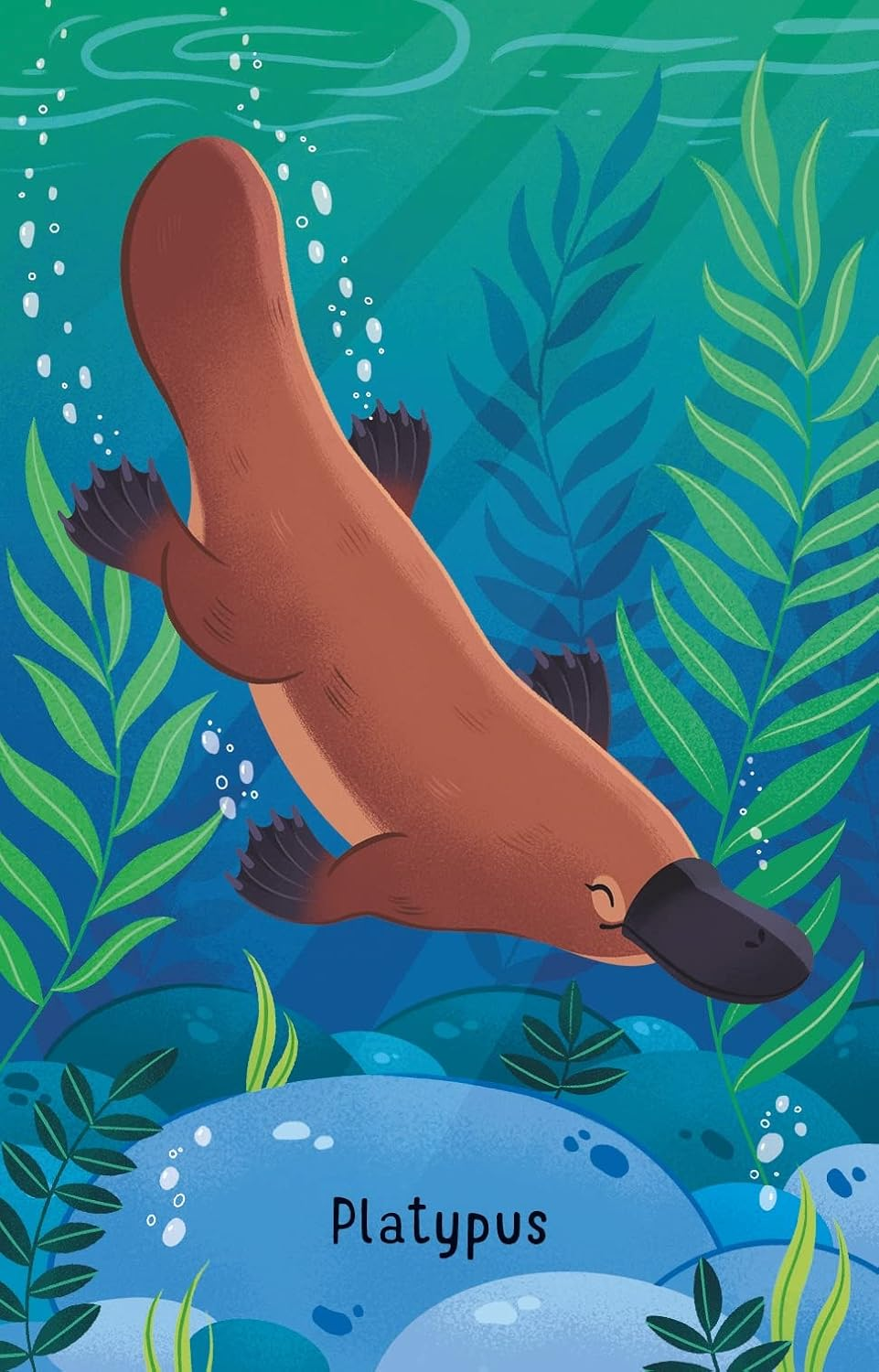 Usborne Australian Animals Snap Book image number 2