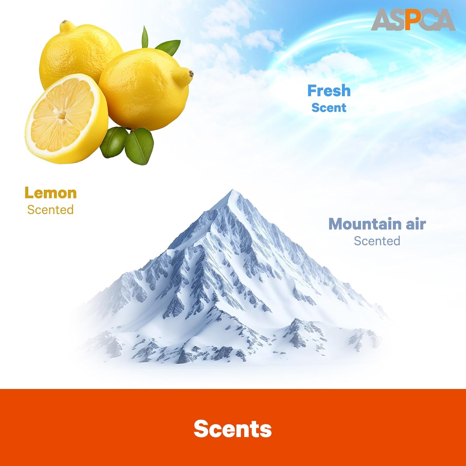 ASPCA AS62930 Dog Training Pads, Pack of 100