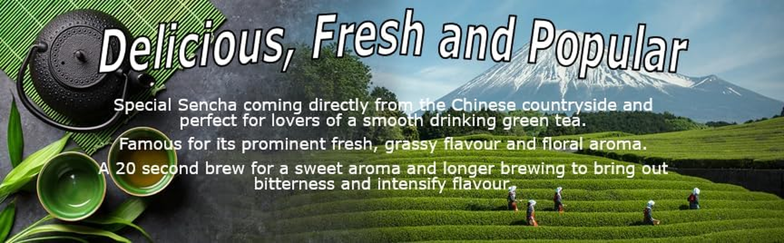 Organic Sencha Green Tea - 50G image number 2