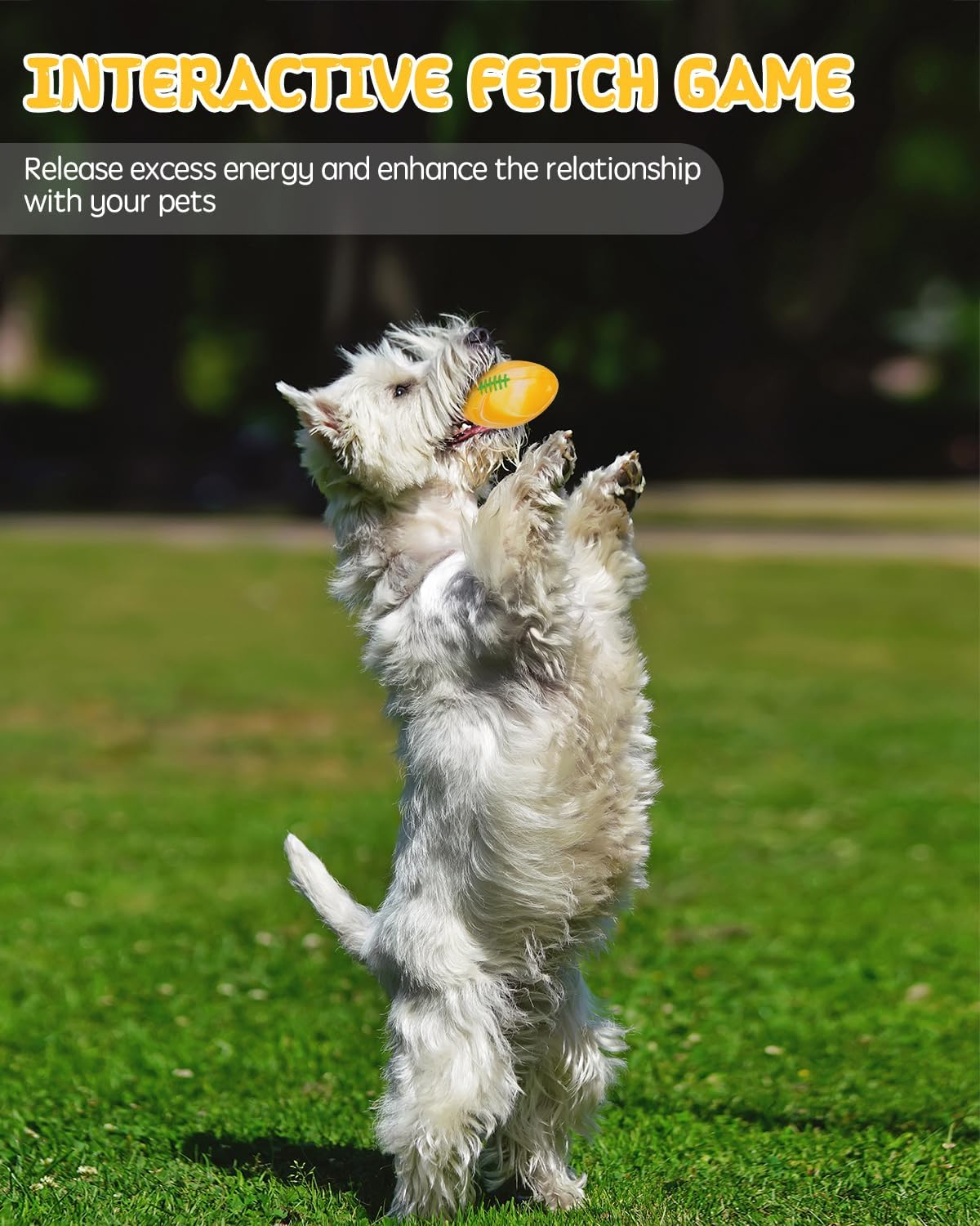 Dog Squeaky Toy Balls, Interactive Squeak Puppy Balls for Fetch Play, Latex Rubber Pet Toy for Puppies Mini Breed Small Dogs image number 6