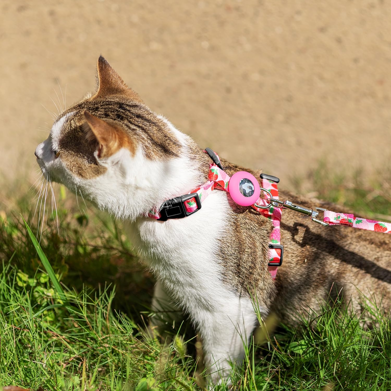 Cat Harness and Leash Escape Proof for Walking Travel Outdoor - Cute Strawberry Nylon Adjustable Cute Cat Harness Leash Set with Airtag Holder for Small Large Cats - Pink image number 4