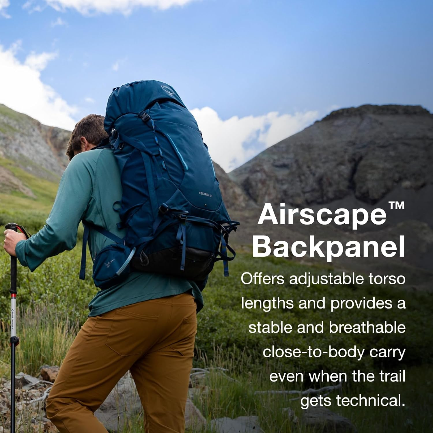 Kestrel Kestrel image number 6