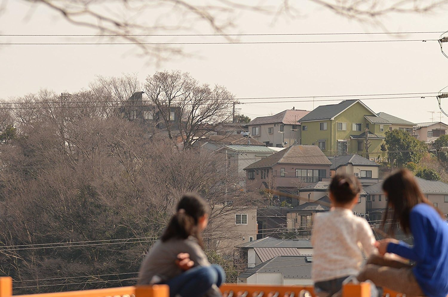 Sigma 4258955 105Mm F/2.8 Macro EX DG OS HSM Optical Lens for Nikon, Black image number 2