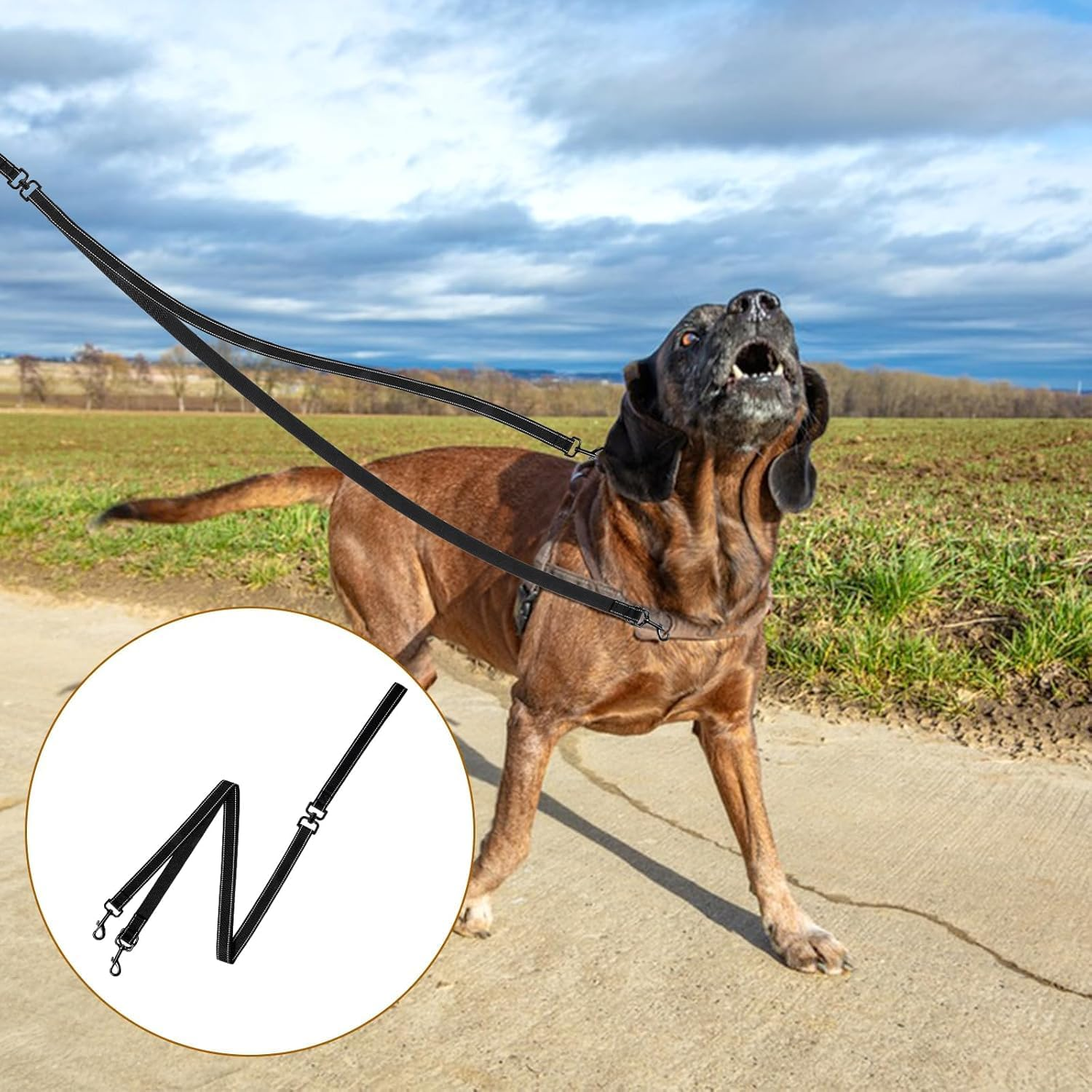 Two Point Control Dog Leash, Double Dog Leash, Training Leash, Multifunctional Double-Ended Dog Leash, Works with No Pull Harnesses, Ideal for Anti-Pulling Dog Training for Any Leash (Black, One Size) image number 1