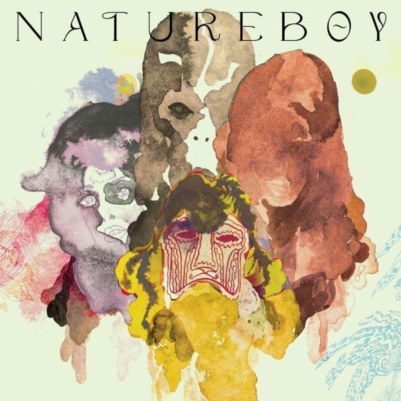 Natureboy (10 Year Anniversary Edition 2LP)