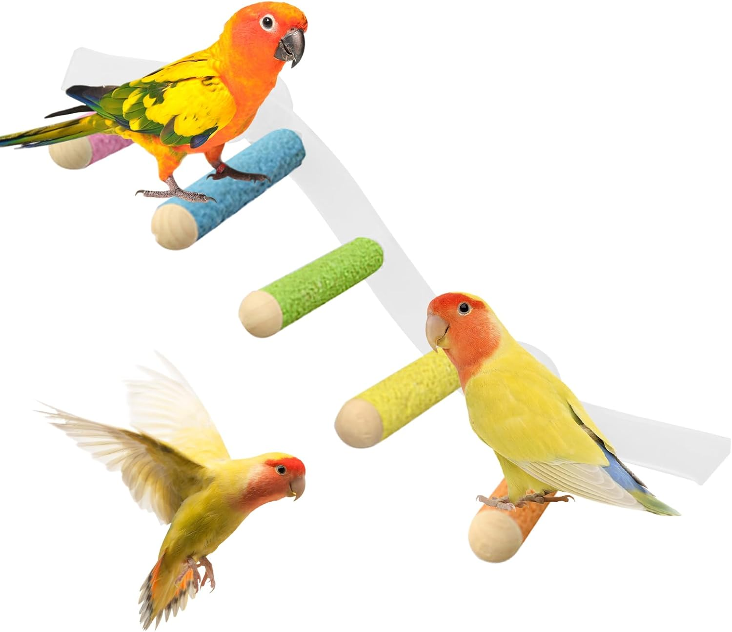 Nybhyjka Perch for Birds,Conure Climbing Ramp - Portable Suction Cup Cage Perch for Parrot, Parakeet, Conure for Home, Wall, Window