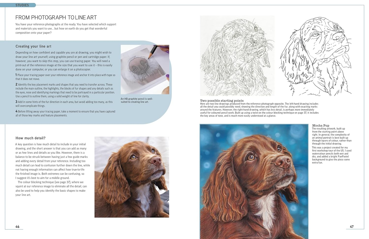 Drawing Animal Portraits in Coloured Pencil image number 6