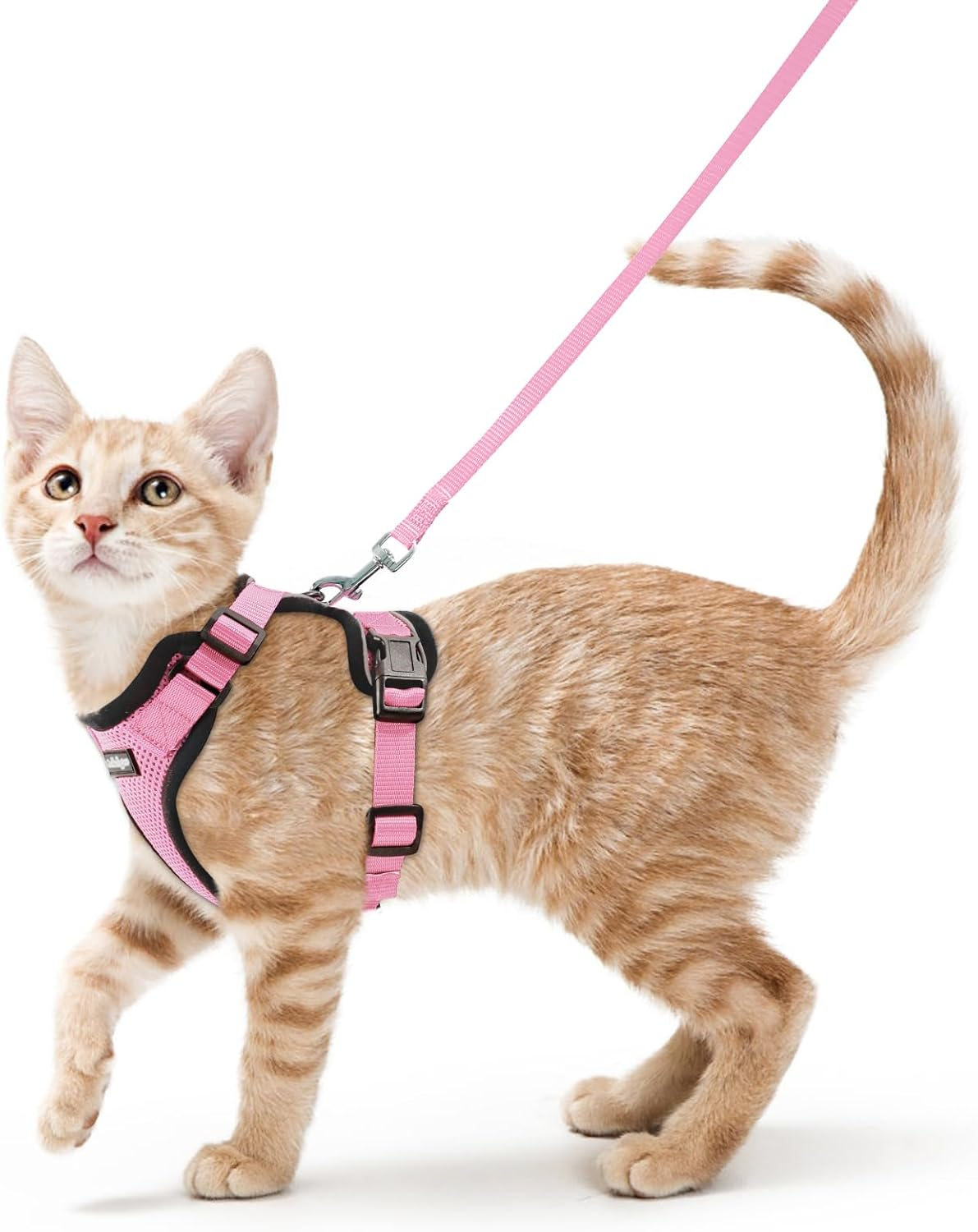 Rabbitgoo Cat Harness and Leash for Walking, Escape Proof Soft Adjustable Vest Harnesses for Cats, Easy Control Breathable Reflective Strips Jacket,Pink, XS image number 3
