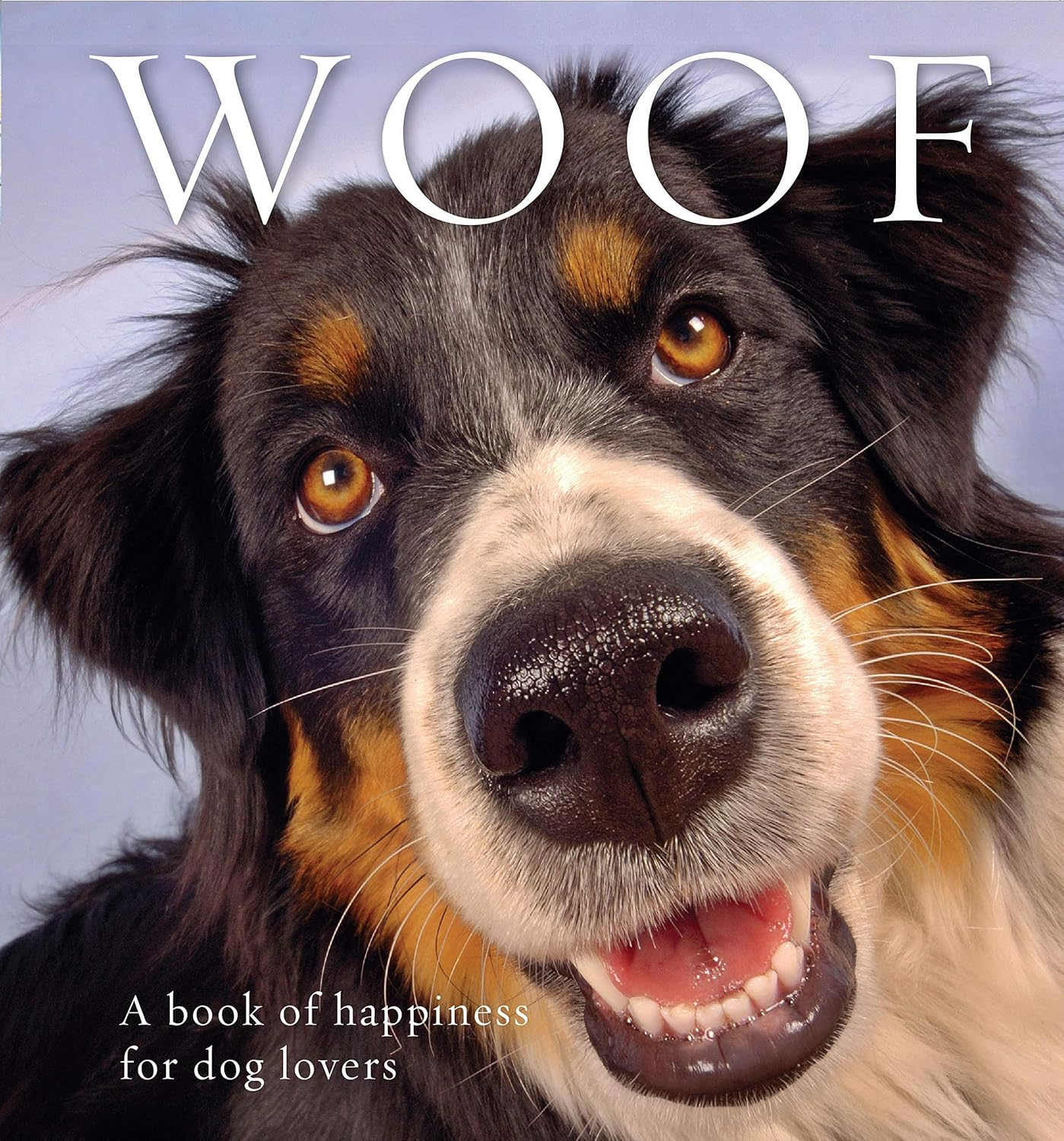 Woof: a Book of Happiness for Dog Lovers image number 1