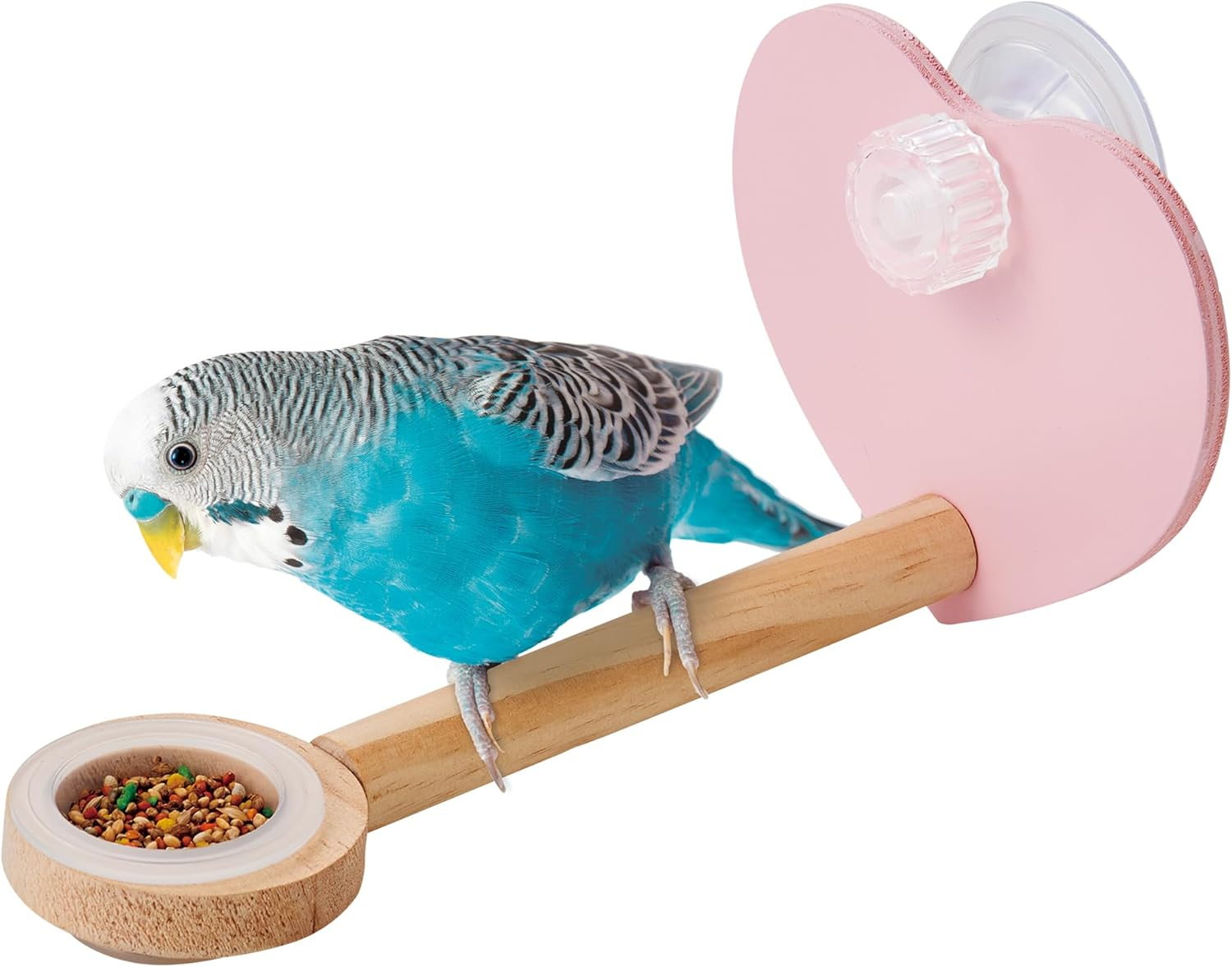 Minimal Land Bird Carnival Anywhere Perch Dish image number 3