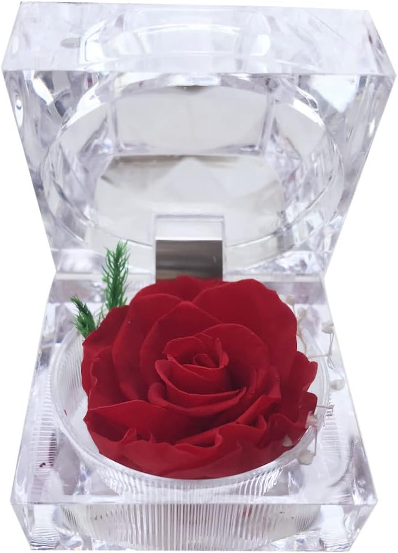 Preserved Rose Real Forever Rose in Mini Clear Ring Box, Eternal Flower Rose Gifts for Women Mom Girlfriend Grandma, Mothers Day, Anniversary, Valentines, Christmas, Birthday (Pink) image number 6