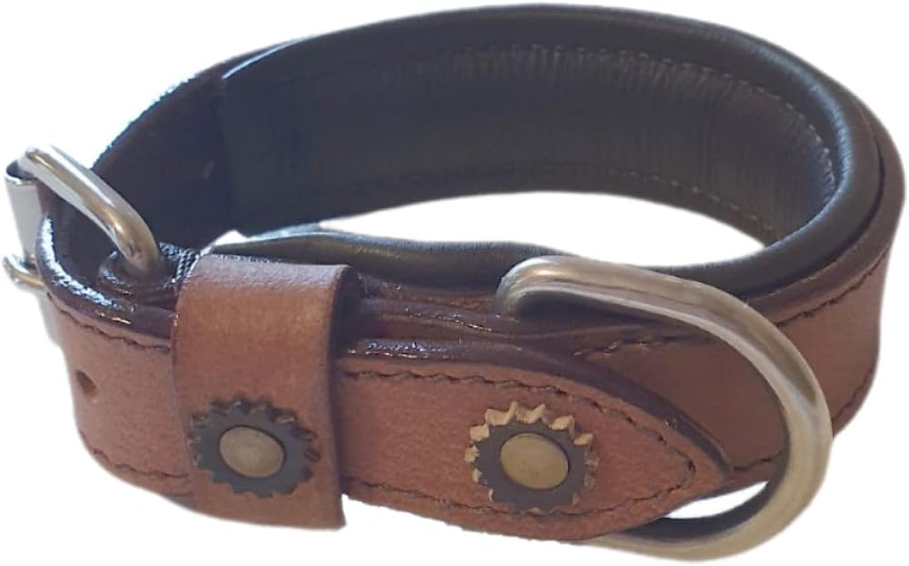 Dog Collar XS 9-11 Inches