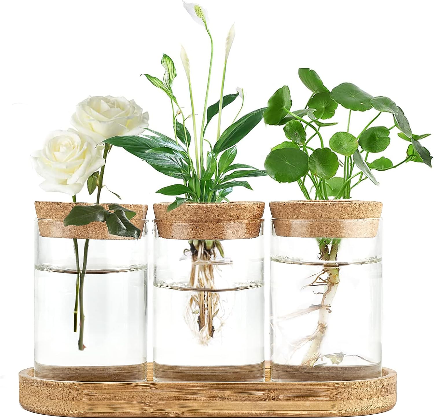 Dahey Plant Propagation Terrarium Desktop Glass Planter Station Water Planting Glass Vase with Lid and Wooden Stand for Propagating Hydroponic Plants Centerpiece Office Home Garden Decor, 3 Pcs image number 1
