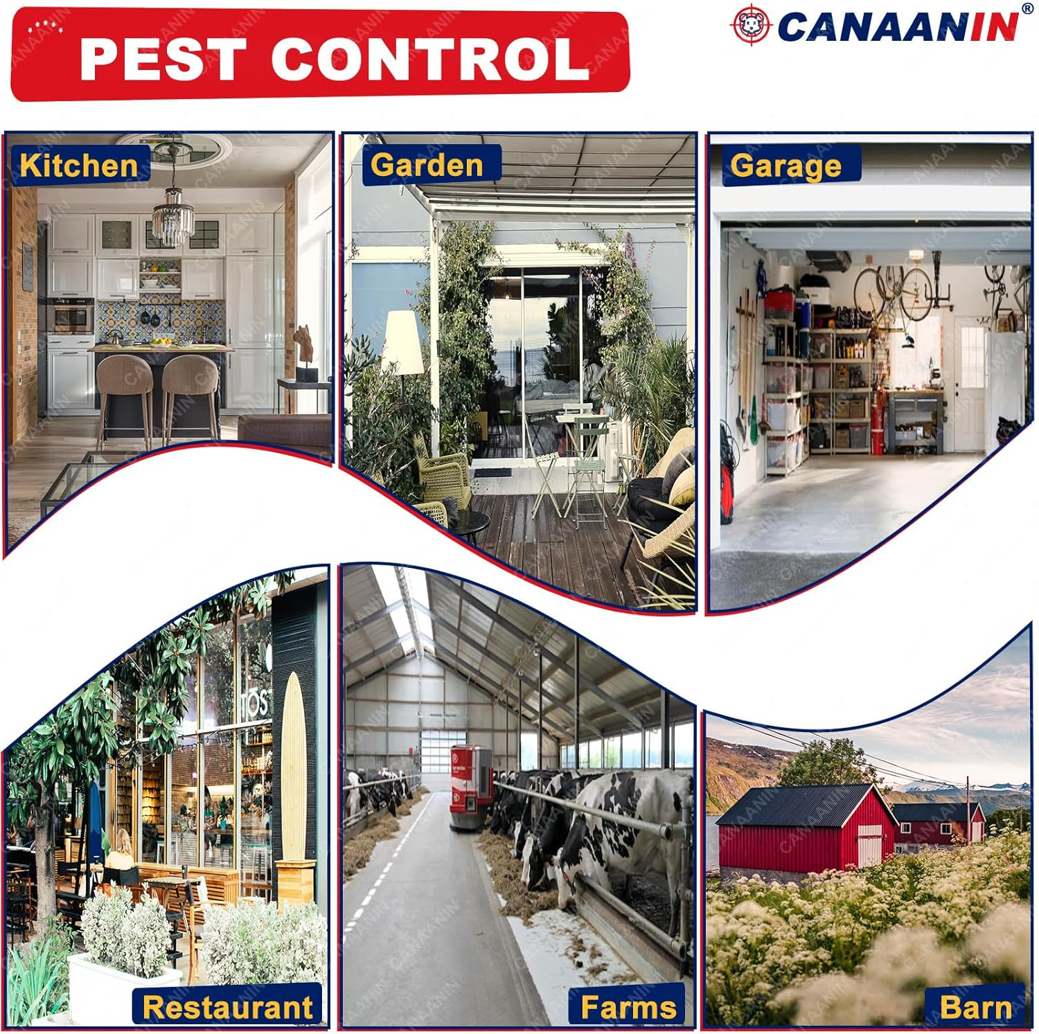 Mouse Trap Humane Cage Rat Trap for Indoor and Outdoor, Large Rodent Animal Mice Vole Chipmunk Hamsters Live Cage, Catch and Release (Black 1 Pack)