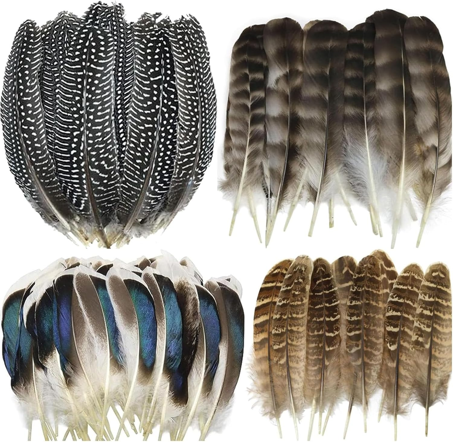 40Pcs Natural Pheasant & Turkey Feathers for Crafting DIY Hat, Flower Arrangement, Party - 4 Styles Spotted Craft Decorative Feathers image number 4