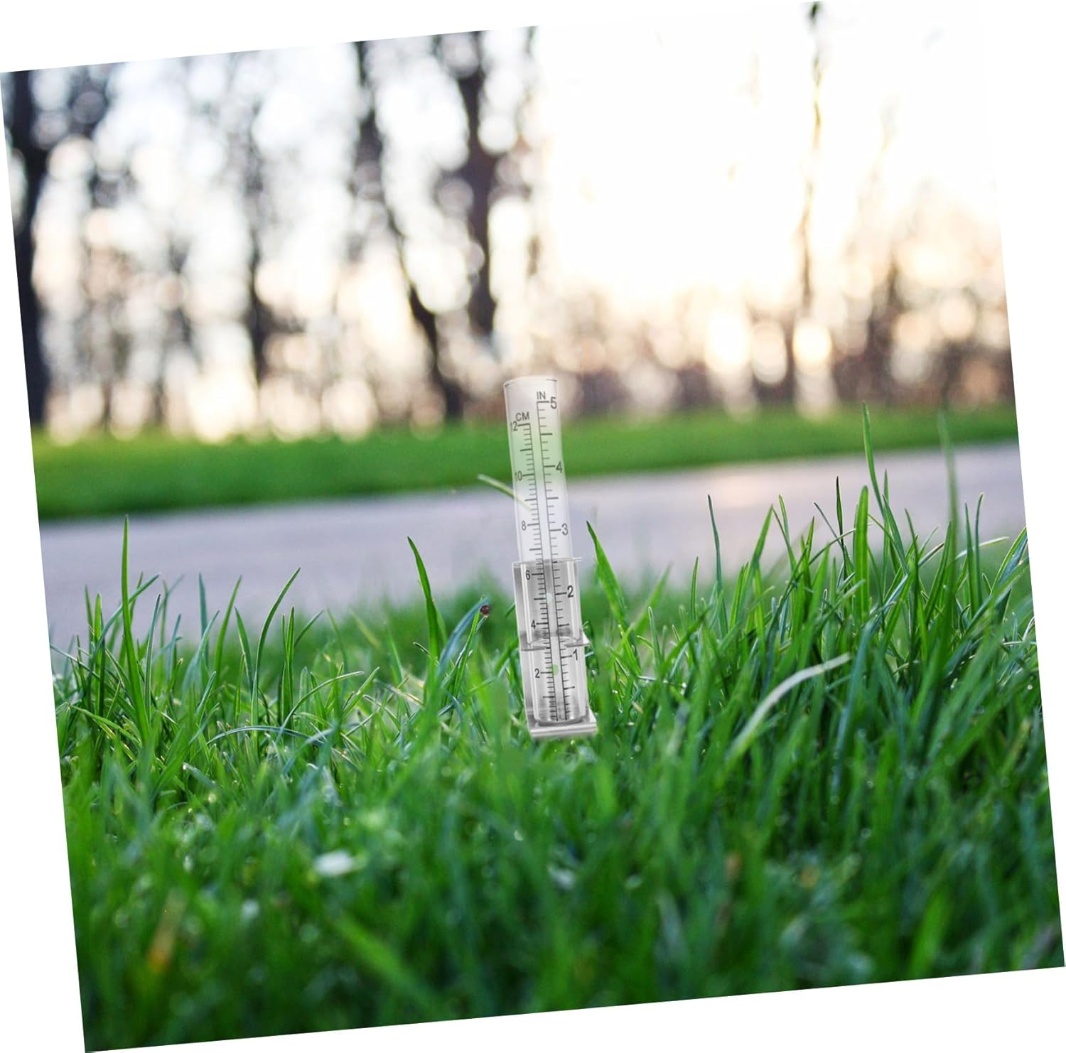 Ibasenice Stainless Steel Rain Gauge Bracket with Stable Column Design for Outdoor Garden Accurate Rainfall Measurement Tool Water Gauge Holder image number 3