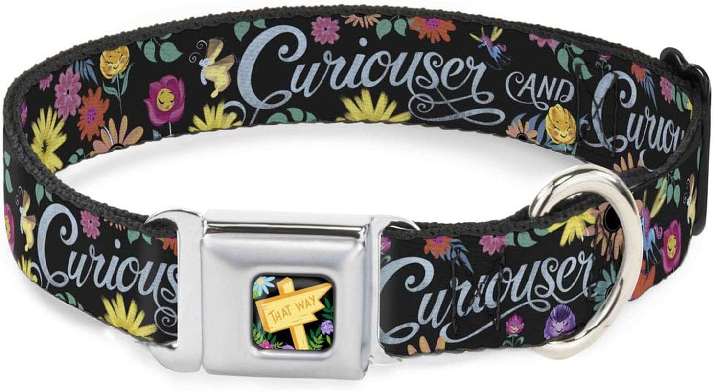 Buckle-Down Flaming Dog Collar Bone image number 2