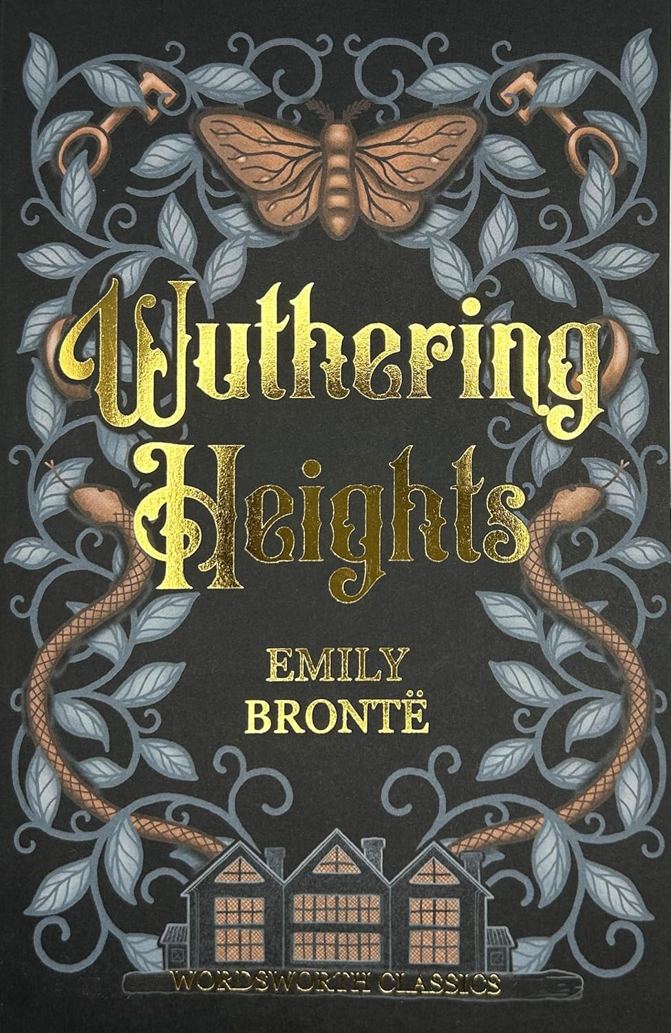 Wuthering Heights image number 1