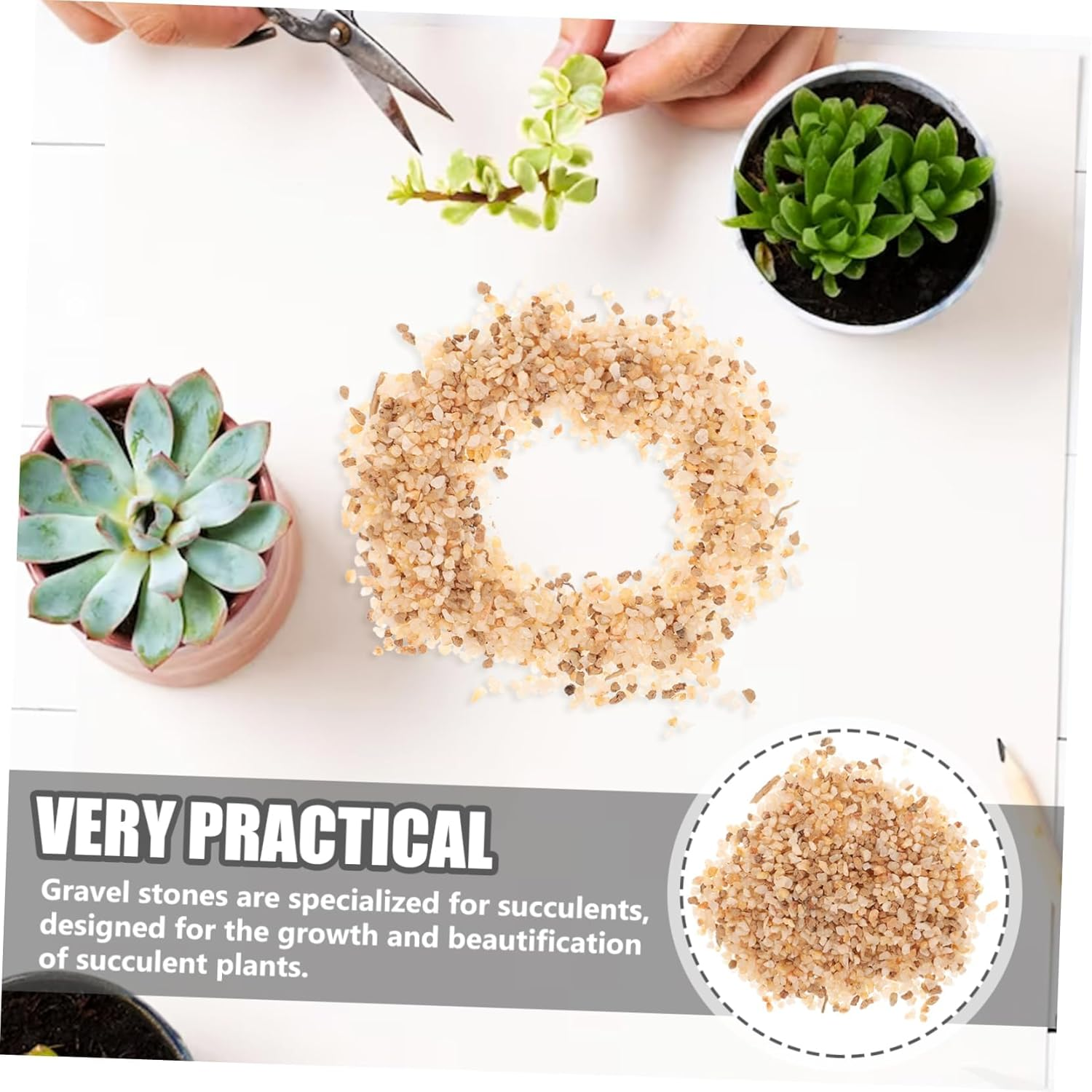 KONTONTY Pumice Stone Mix for Succulents Decorative Rocks Pebbles for Pots for Bonsai Bonsai Stones and Plant Display image number 4