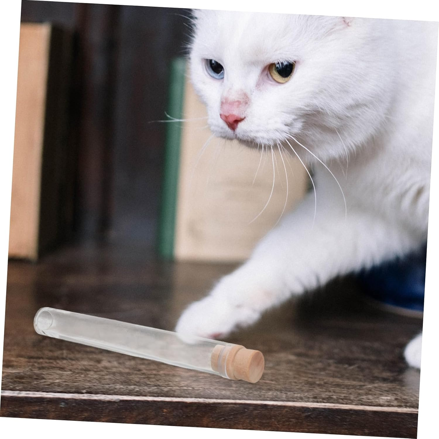 TOGEVAL 2Pcs Pet Hair Storage Bottles with Stopper Transparent Cat Whiskers and Dog Hair Keepsake Jars Portable Compact Memorial Containers for Home Display and Travel