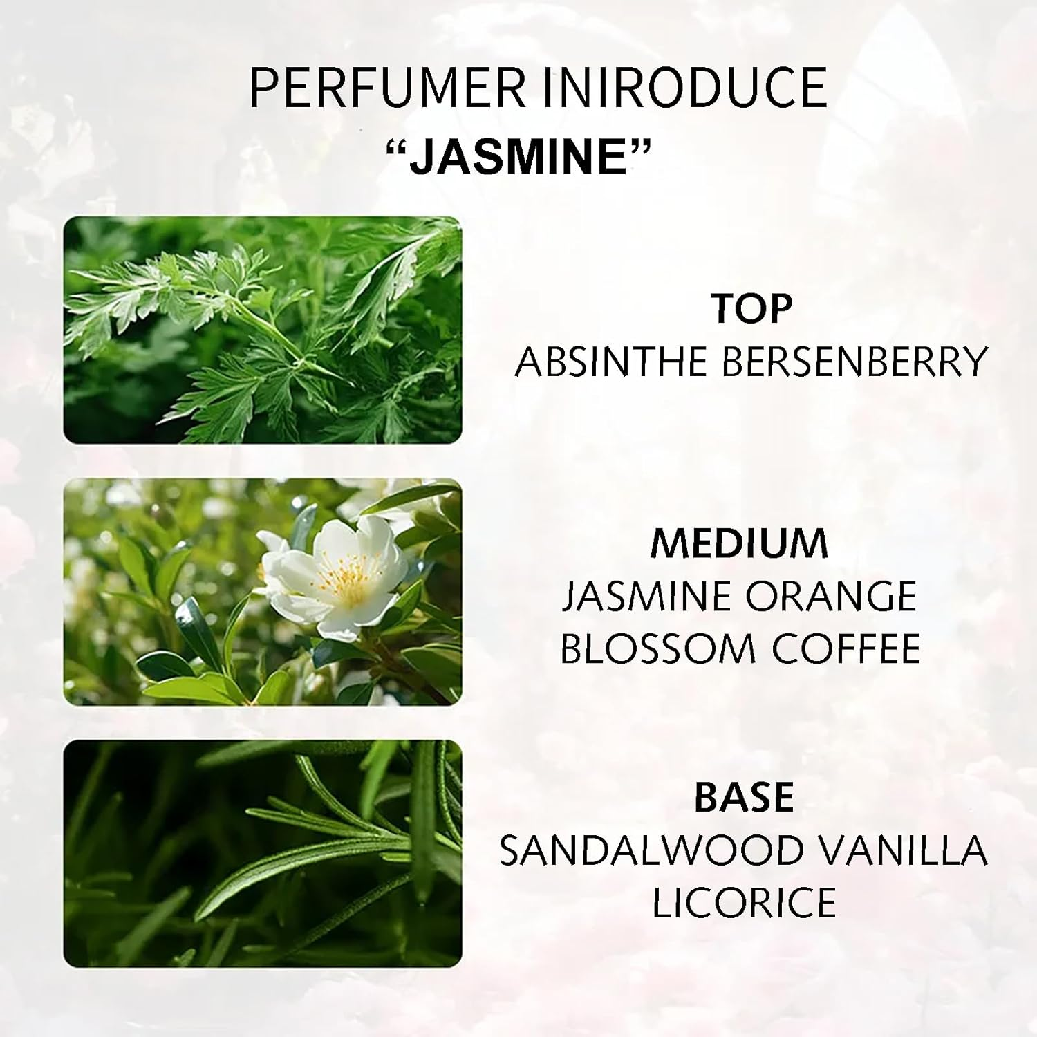 WK JALY Pink Chance Eau De Parfum, Women'S Perfume - Floral & Woody - with Notes of Vanilla, Jasmine, Rose, 50Ml image number 5