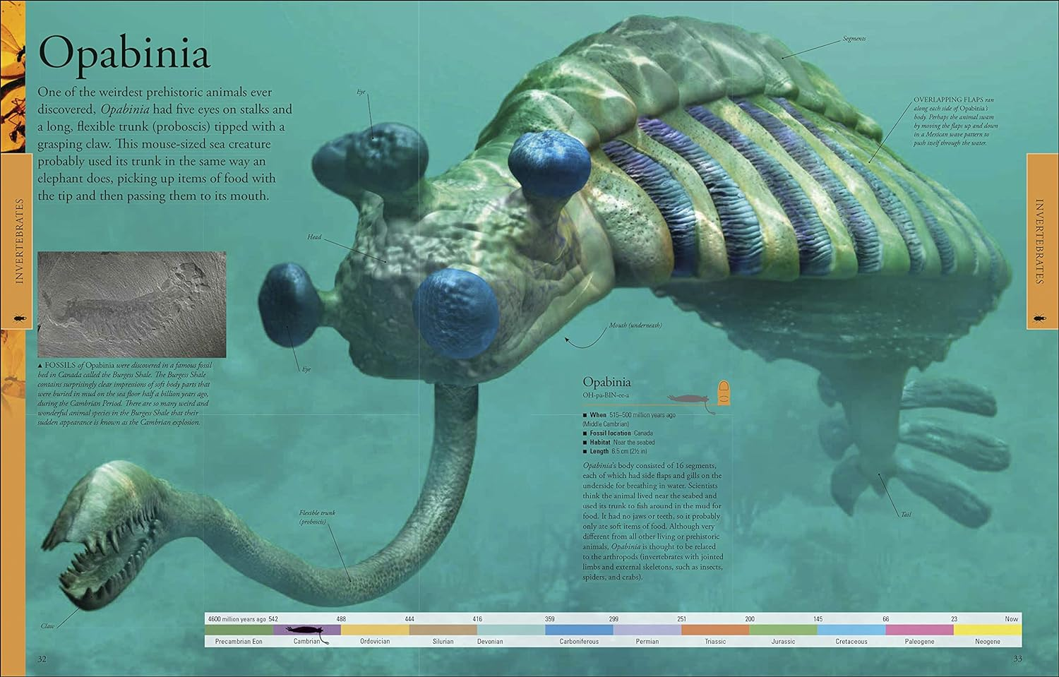 Dinosaurs a Children'S Encyclopedia image number 2