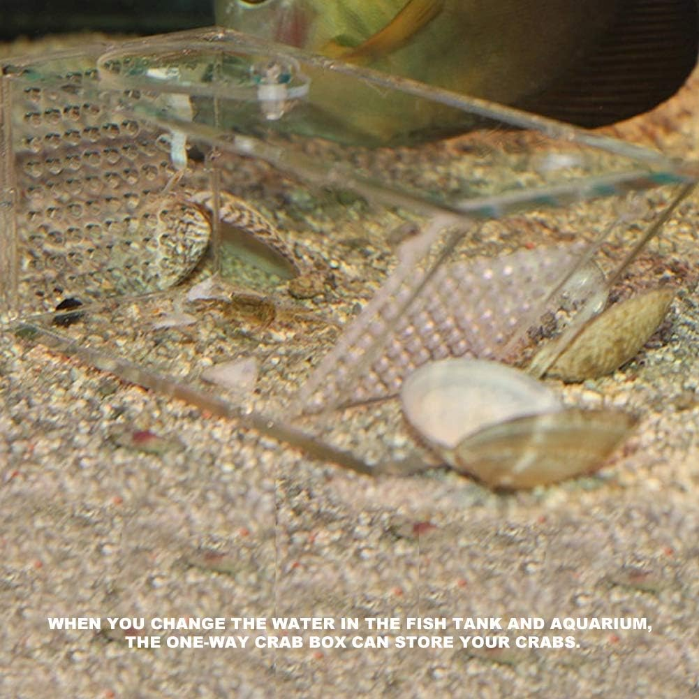 Crab Fish Trap, Crab Trap Catcher Box Fish Tank Mini Freshwater Catcher Box Aquarium Crawfish Tank Fishing Bait Cage Transparent Acrylic Holder for Catching Shrimp image number 6