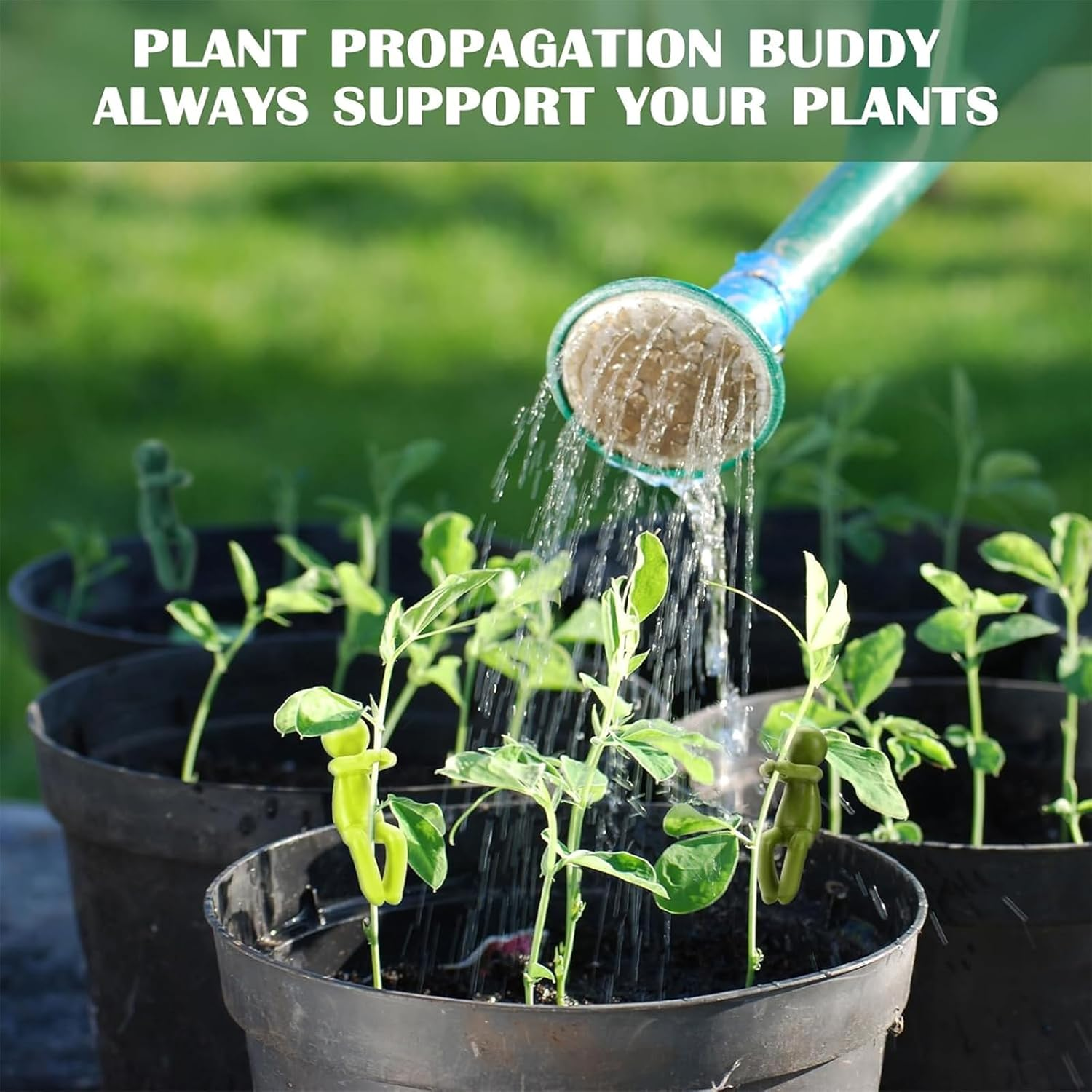 Augous 3Pcs Plant Propagation Buddy, Plant Support for Sprouts, Stems, Shoots, and Cuttings, Plant Supports for a Plant Propagation Station or an Indoor Garden, Plant Lover Gifts image number 6