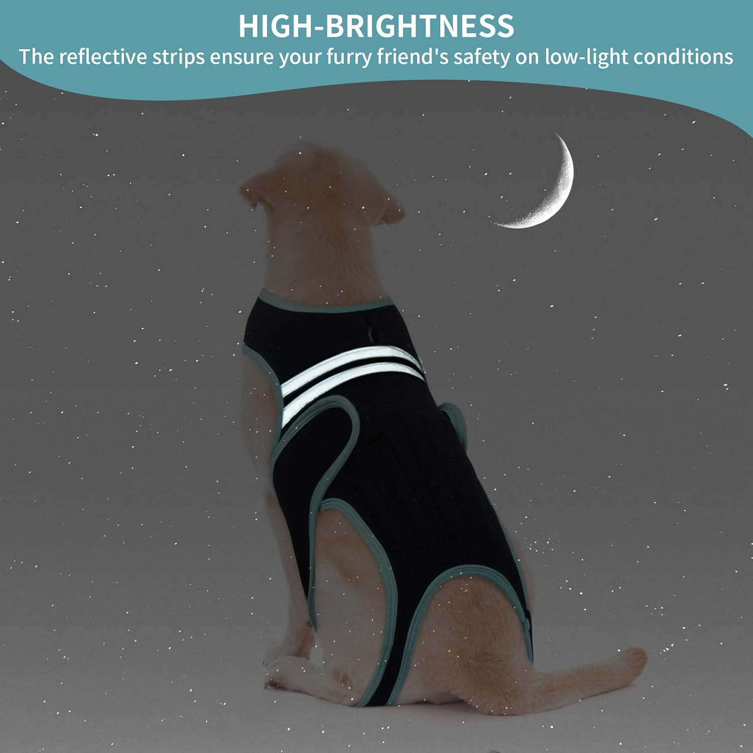 PUMYPOREITY Back Bandage for Dogs, Arthritis for Relieving Back Pain, Schian Surgical Recovery and Rehabilitation (XL)