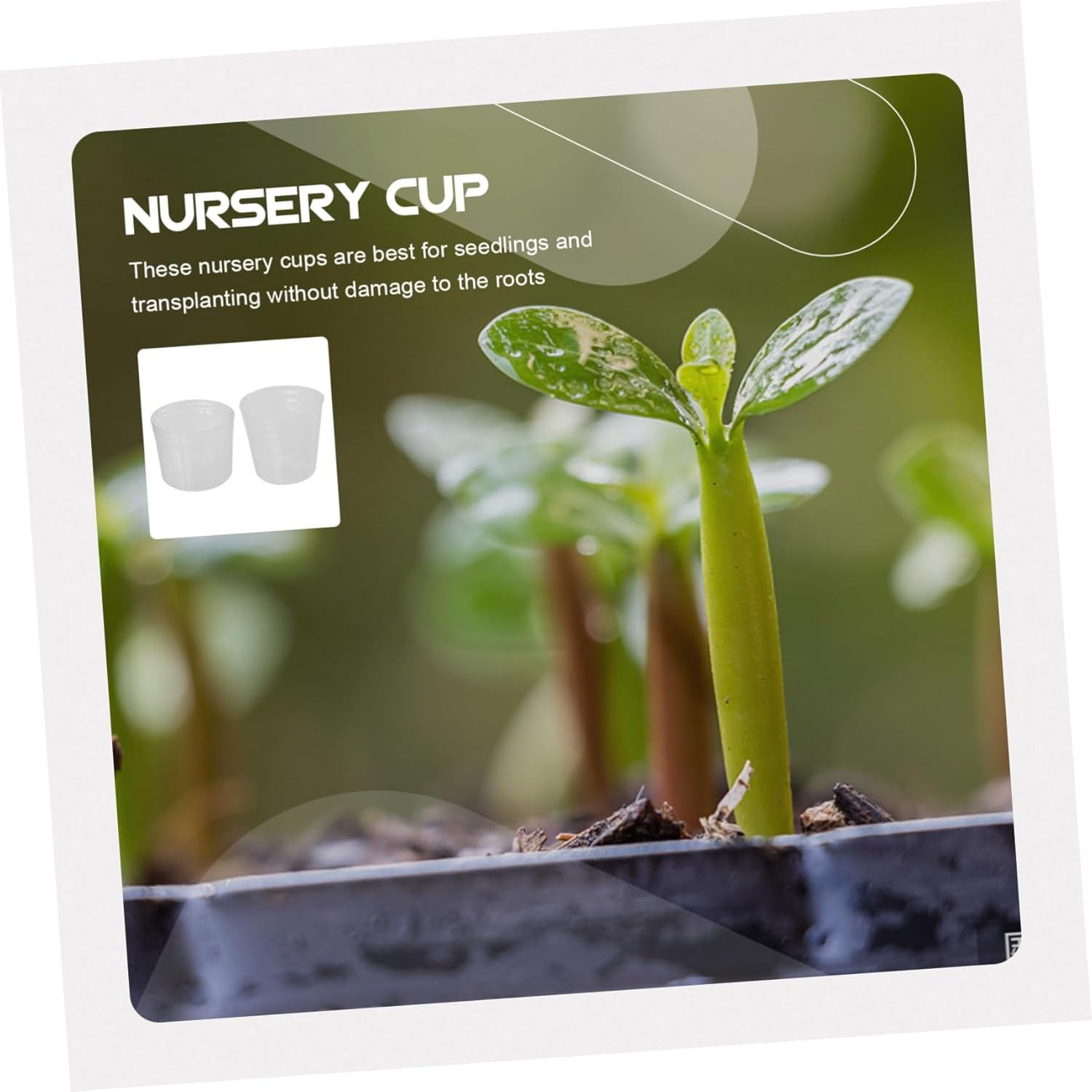 INOOMP 50Pcs Plant Nursery Cups with Dust Covers, 1.5-Inch Seedling Raising Pots for Outdoor Gardening, Flower Nutrient Cups for Orchid and Butterfly Seedlings image number 4