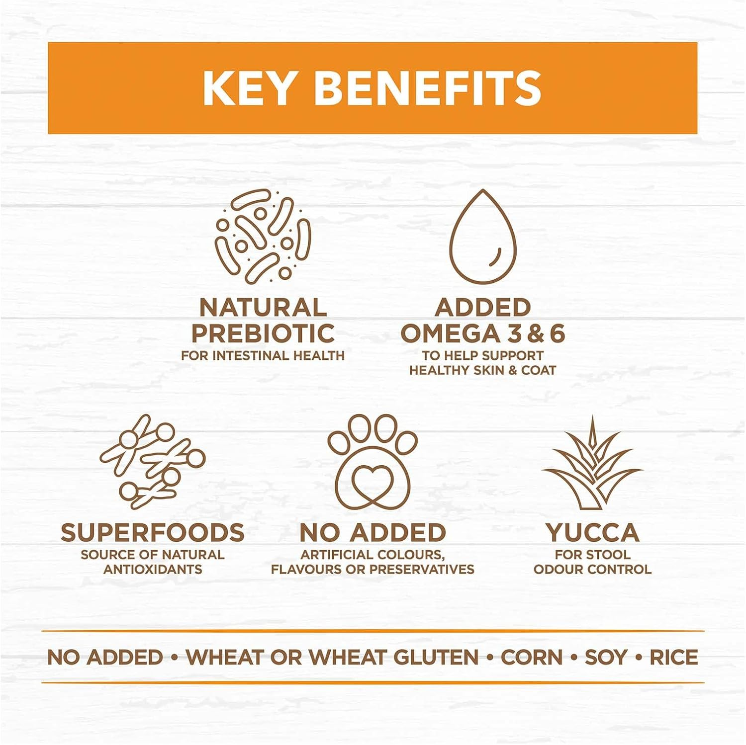 IVORY COAT ADULT CHICKEN & COCONUT OIL 13KG