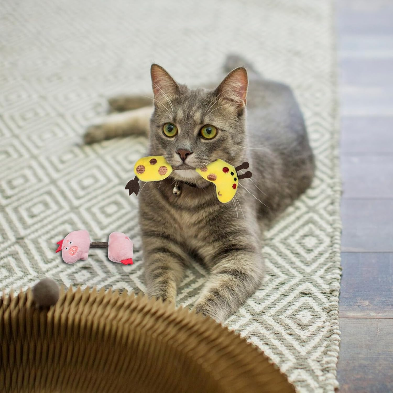 Andiker Silvervine Chew Sticks, 2 Pieces Cat Catnip Sticks with Silvervine Sticks for Indoor Cats, Natural Molar Stick Cat Toy for Cat Teeth Cleaning Chewing (Green + Blue) image number 5