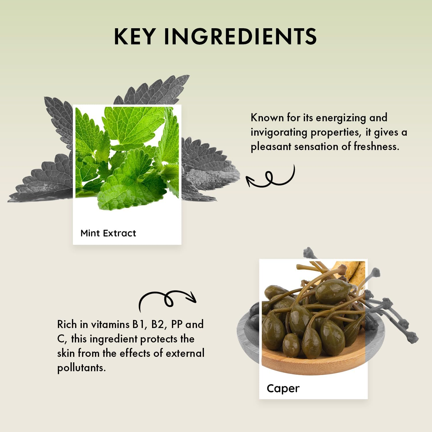 Naturica Energizing Miracle Shock Treatment for Thinning Hair and Hair Loss with Caper and Ginseng Extract - 100Ml image number 5