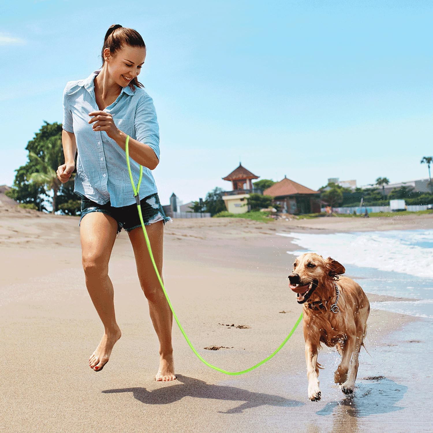 Round Rope Dog Leash, Durable and Strong, Ideal for Walks and Pet Training. image number 2