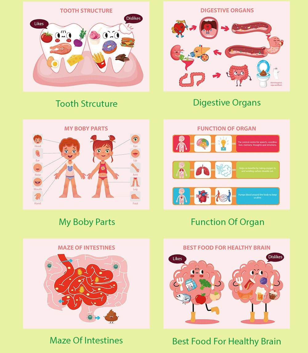 AGOGOLIFE Human Body Busy Book for Kids &ndash; 15 Interactive Learning Activities with Organs, Brain, Teeth & Skeleton &ndash; Montessori Anatomy Educational Toy for Ages 3-6 image number 3