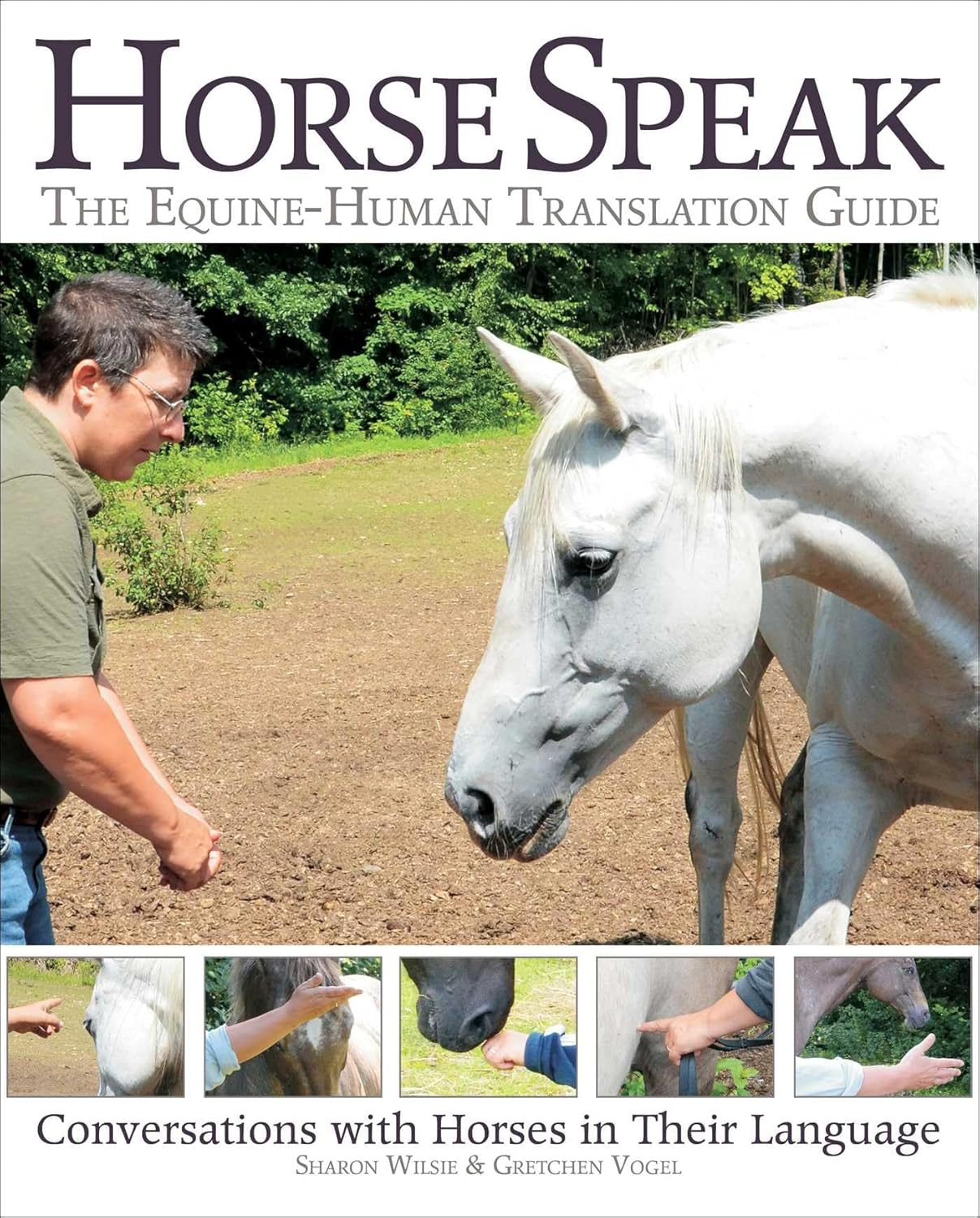 Horse Speak: an Equine-Human Translation Guide: Conversations with Horses in Their Language